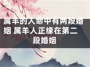 属羊的人命中有两段婚姻 属羊人正缘在第二段婚姻