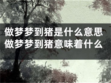 做梦梦到猪是什么意思做梦梦到猪意味着什么