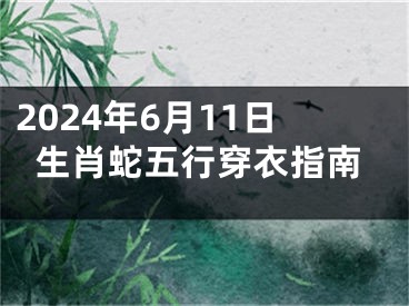 2024年6月11日生肖蛇五行穿衣指南