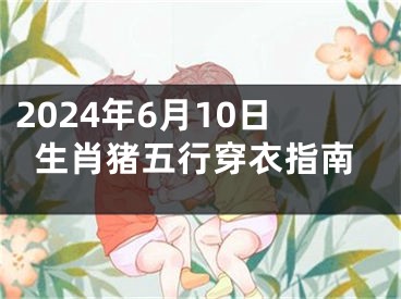 2024年6月10日生肖猪五行穿衣指南