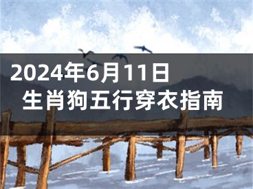 2024年6月11日生肖狗五行穿衣指南