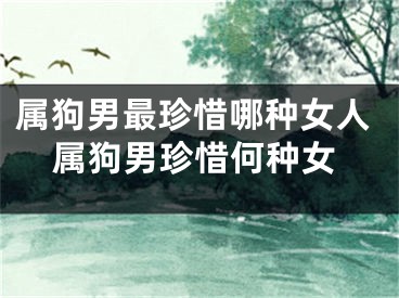 属狗男最珍惜哪种女人属狗男珍惜何种女