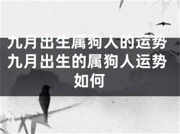 九月出生属狗人的运势九月出生的属狗人运势如何