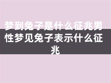 梦到兔子是什么征兆男性梦见兔子表示什么征兆