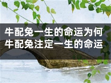 牛配兔一生的命运为何牛配兔注定一生的命运