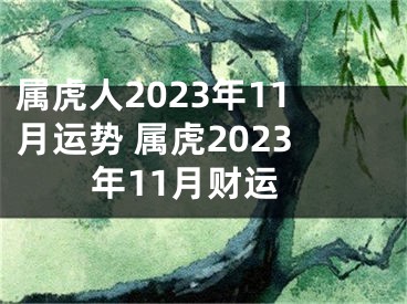 属虎人2023年11月运势 属虎2023年11月财运