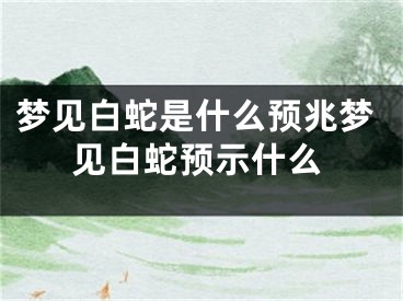 梦见白蛇是什么预兆梦见白蛇预示什么