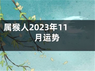 属猴人2023年11月运势