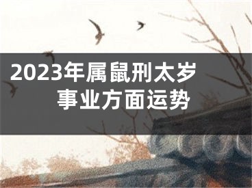 2023年属鼠刑太岁事业方面运势