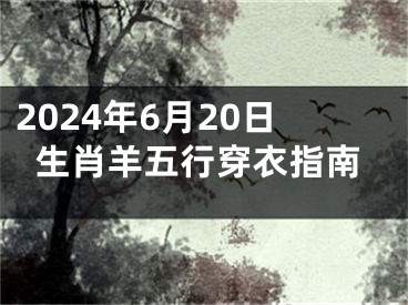 2024年6月20日生肖羊五行穿衣指南