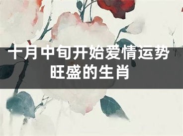 十月中旬开始爱情运势旺盛的生肖