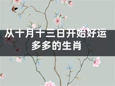 从十月十三日开始好运多多的生肖