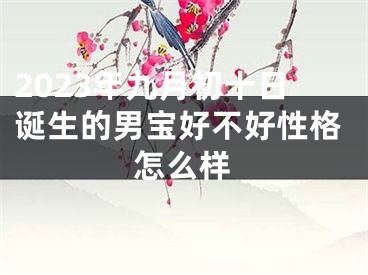 2023年九月初十日诞生的男宝好不好性格怎么样