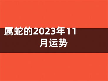 属蛇的2023年11月运势