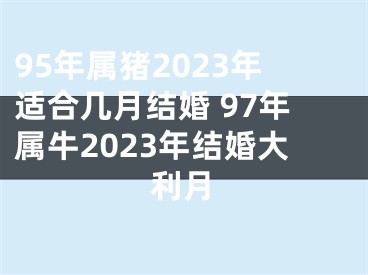95年属猪2023年适合几月结婚 97年属牛2023年结婚大利月