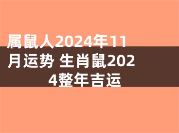 属鼠人2024年11月运势 生肖鼠2024整年吉运