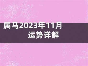 属马2023年11月运势详解