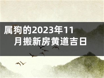 属狗的2023年11月搬新房黄道吉日