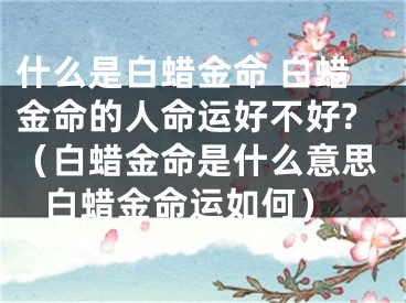 什么是白蜡金命 白蜡金命的人命运好不好?（白蜡金命是什么意思 白蜡金命运如何）