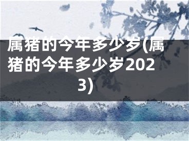 属猪的今年多少岁(属猪的今年多少岁2023)