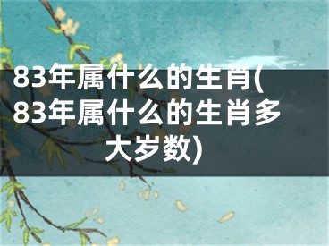 83年属什么的生肖(83年属什么的生肖多大岁数)