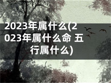 2023年属什么(2023年属什么命 五行属什么)
