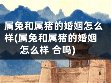 属兔和属猪的婚姻怎么样(属兔和属猪的婚姻怎么样 合吗)
