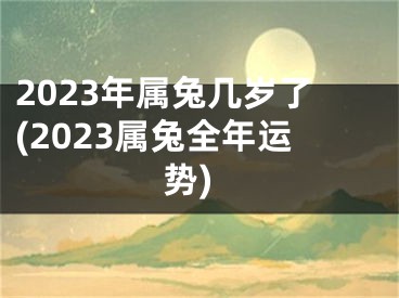 2023年属兔几岁了(2023属兔全年运势)