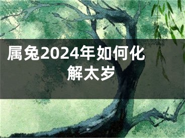 属兔2024年如何化解太岁