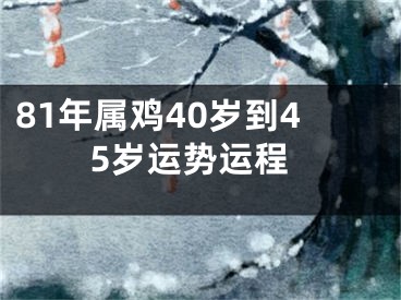 81年属鸡40岁到45岁运势运程