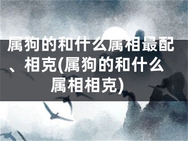 属狗的和什么属相最配、相克(属狗的和什么属相相克)