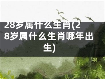 28岁属什么生肖(28岁属什么生肖哪年出生)