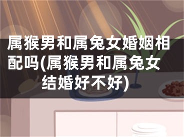 属猴男和属兔女婚姻相配吗(属猴男和属兔女结婚好不好)