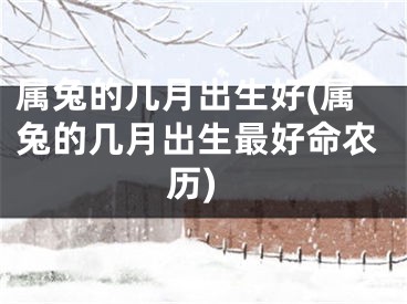 属兔的几月出生好(属兔的几月出生最好命农历)