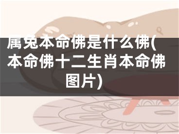 属兔本命佛是什么佛(本命佛十二生肖本命佛图片)