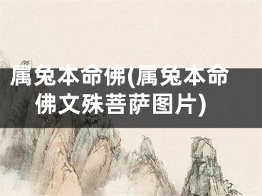 属兔本命佛(属兔本命佛文殊菩萨图片)