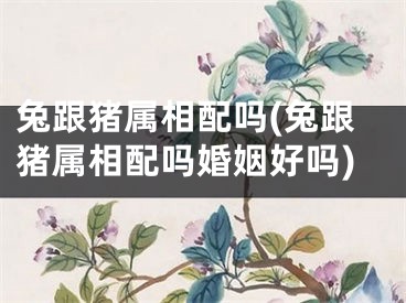 兔跟猪属相配吗(兔跟猪属相配吗婚姻好吗)