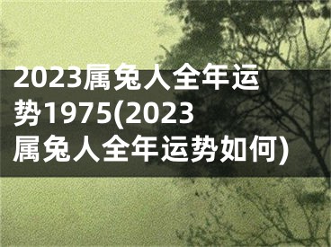 2023属兔人全年运势1975(2023属兔人全年运势如何)