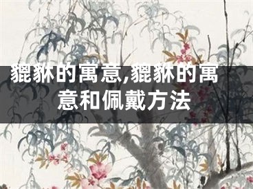 貔貅的寓意,貔貅的寓意和佩戴方法