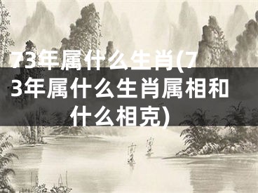 73年属什么生肖(73年属什么生肖属相和什么相克)