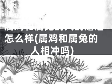 属鸡和属兔的人的婚姻怎么样(属鸡和属兔的人相冲吗)