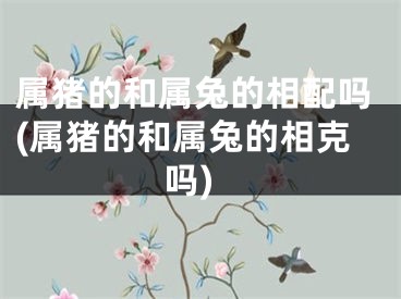 属猪的和属兔的相配吗(属猪的和属兔的相克吗)