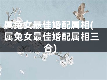 属兔女最佳婚配属相(属兔女最佳婚配属相三合)
