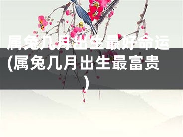 属兔几月出生最好命运(属兔几月出生最富贵)