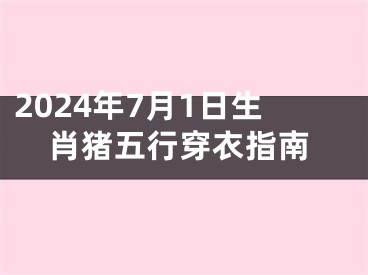2024年7月1日生肖猪五行穿衣指南