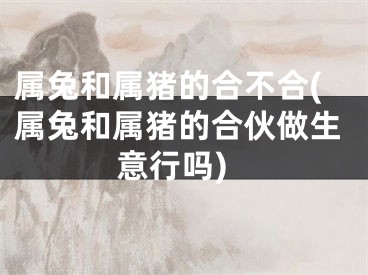 属兔和属猪的合不合(属兔和属猪的合伙做生意行吗)