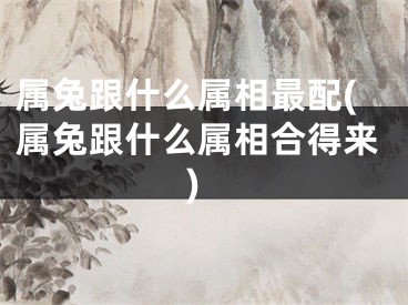 属兔跟什么属相最配(属兔跟什么属相合得来)