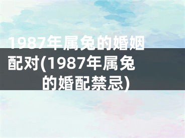 1987年属兔的婚姻配对(1987年属兔的婚配禁忌)