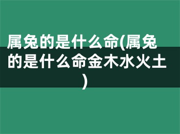 属兔的是什么命(属兔的是什么命金木水火土)