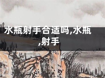 水瓶射手合适吗,水瓶,射手